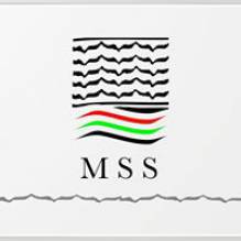 Medical Supplies & Services - MSS شركة التوريدات والخدمات الطبية
