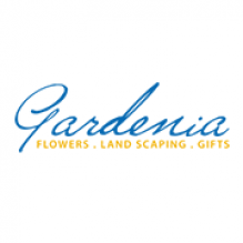 ازهار جاردينيا - Gardenia