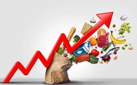 الفاو: اللحوم والألبان والحبوب ترفع أسعار المواد الغذائية عالميا في أبريل للشهر الثاني