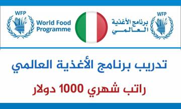 فرصة تدريب (برنامج الأغذية العالمي 2024 | مدفوع الأجر) - فلسطين