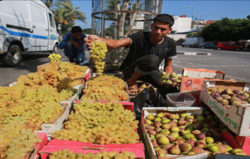 مهن صيفية في غزة لمواجهة البطالة والفقر